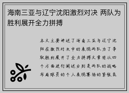 海南三亚与辽宁沈阳激烈对决 两队为胜利展开全力拼搏