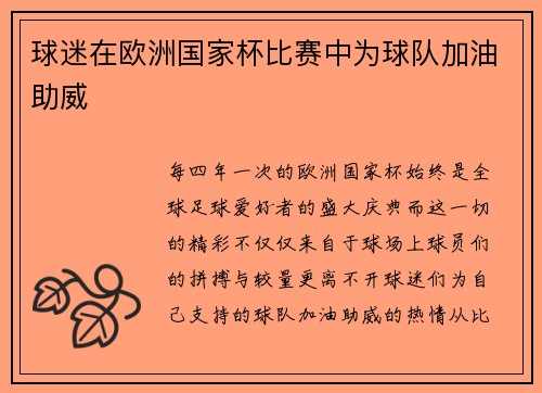 球迷在欧洲国家杯比赛中为球队加油助威