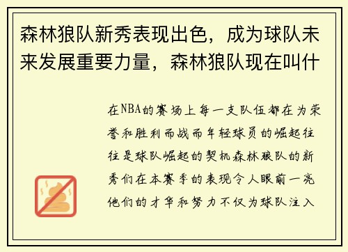 森林狼队新秀表现出色，成为球队未来发展重要力量，森林狼队现在叫什么